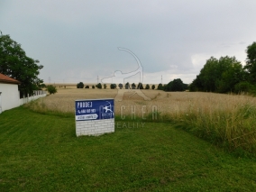 Exkluzivně - Prodej stavebního pozemku 1 053 m2, elektřina, Černošice (okr. Praha-západ)