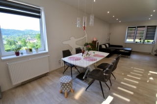 Exkluzivně - Prodej RD 400 m2, pozemek 837 m2, Ústí nad Labem - Svádov, ul. Olšinky