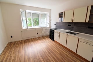 Pronájem bytu 1+1/S, 43 m2, Krupka - Vrchoslav (okres Teplice), ul. 1. Máje