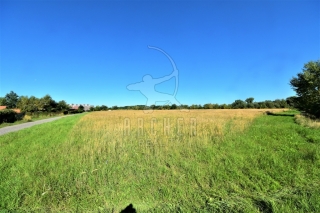 Prodej pozemku pro komerční výstavbu 70 000 m2, Kostelec nad Labem (okres Mělník), ul. Neratovická